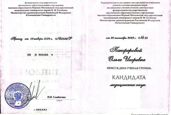 Сертификат — Панфёрова Ольга Игоревна