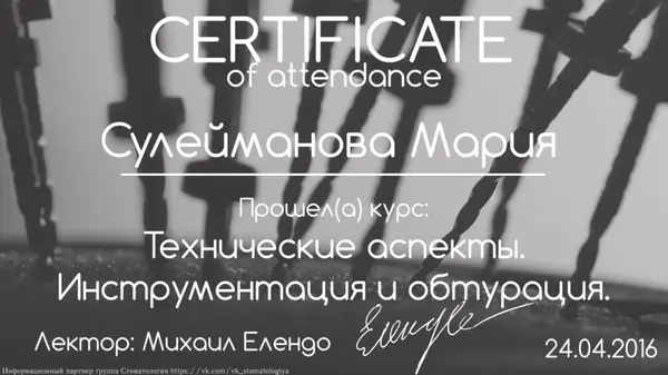 Сертификат — Шнабель Мария Сергеевна