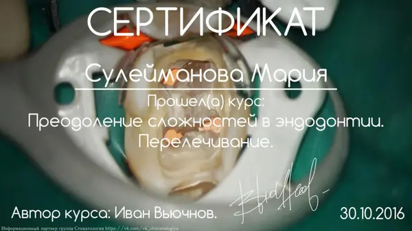 Сертификат — Шнабель Мария Сергеевна