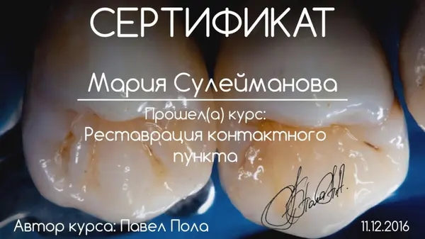 Сертификат — Шнабель Мария Сергеевна