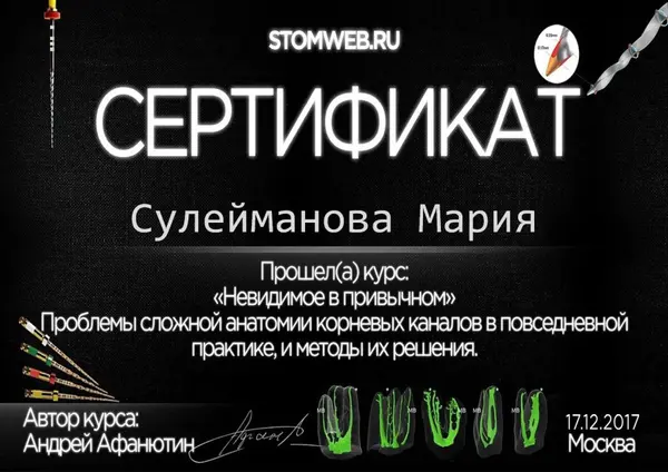 Сертификат — Шнабель Мария Сергеевна